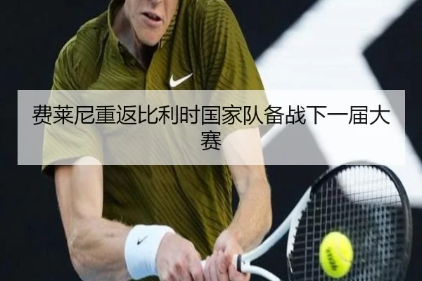 费莱尼重返比利时国家队备战下一届大赛